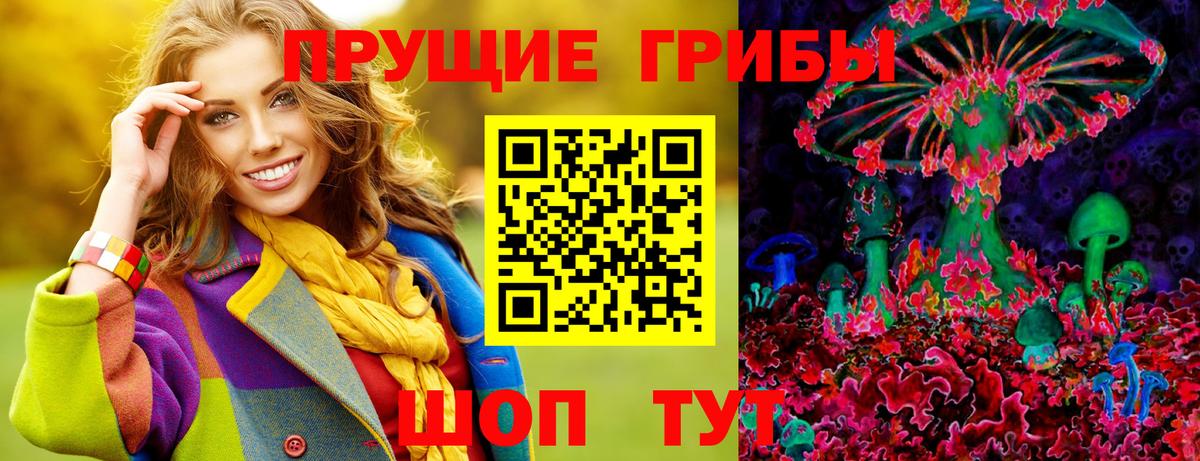 Корсаков  Галлюциногенные грибы Psilocybe  Вход с VPN  Галлюциногенные грибы Psilocybine cubensis 