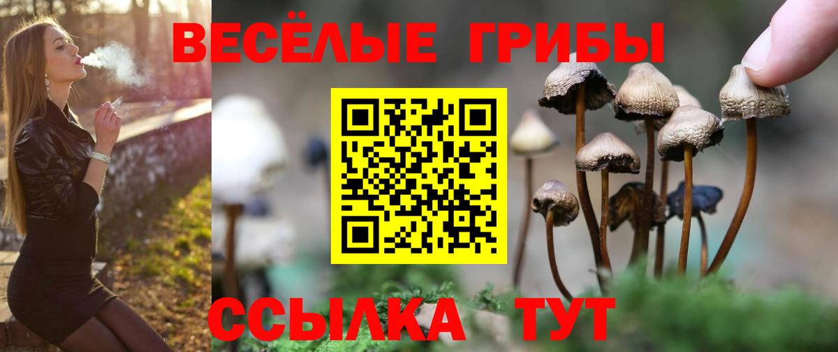 Псилоцибиновые грибы ЛСД Корсаков